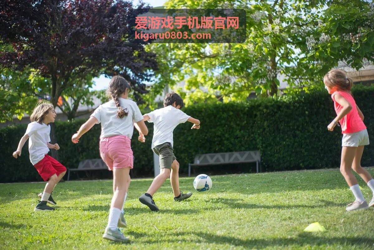 爱游戏手机版官网每日资源安排与周期活动技巧